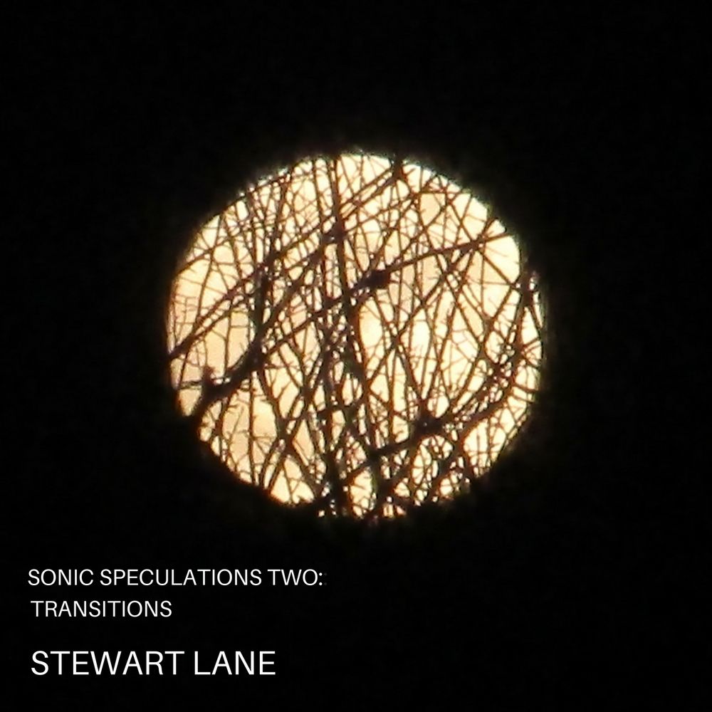 Sonic Speculations Two: Transitions artwork
