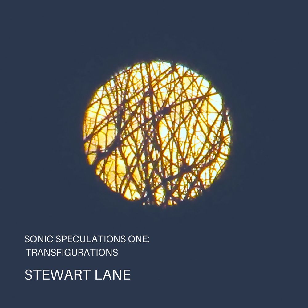 Sonic Speculations One: Transfigurations artwork